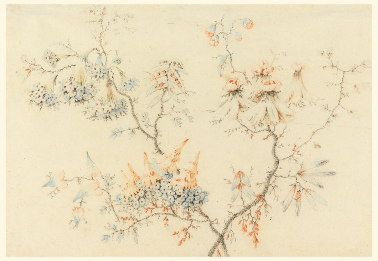 Kresba, Kvetoucí větve, 1775-1800 od Jean Baptiste Pillement