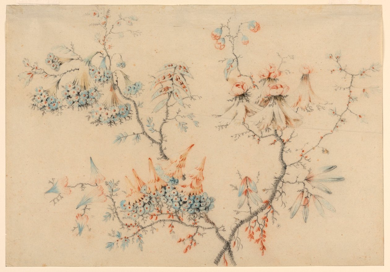 Kresba, Kvetoucí větve, 1775-1800 od Jean Baptiste Pillement