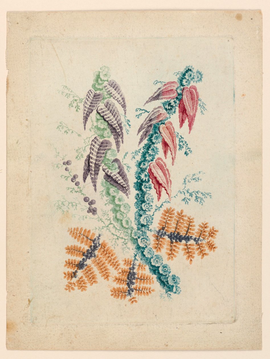 Fantastický květinový motiv z "New Suite of Ideal Flower Notebooks" od Jean Baptiste Pillement