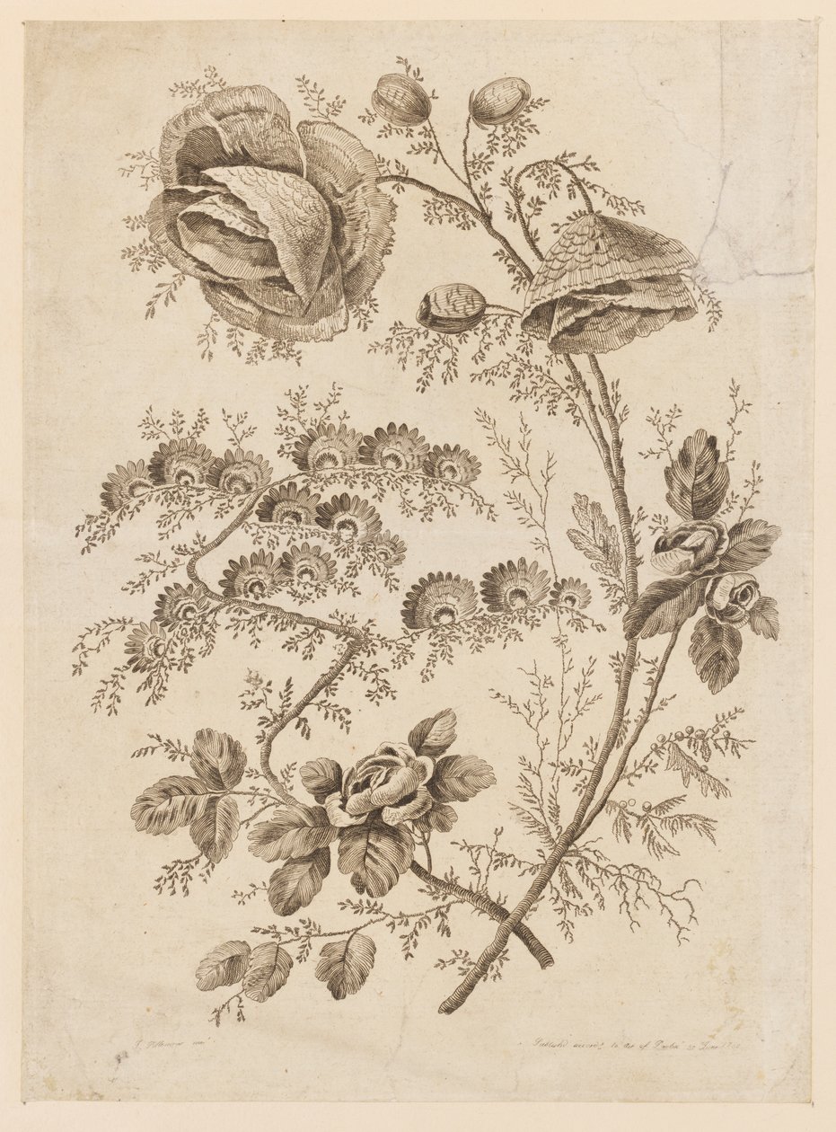 Flower Bough, od "Cahier de Fleurs Singuliers" od Jean Baptiste Pillement