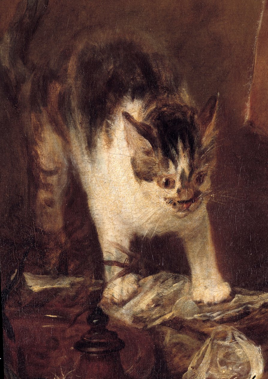 Zátiší brusle ryb, ústřic, džbán. Detail kočky. Obraz Jean Baptiste Simeon Chardin (1699-1779) 1727 Ne. 1,14 x 1,46 m Paříž. muzeum Louvre od Jean Baptiste Simeon Chardin