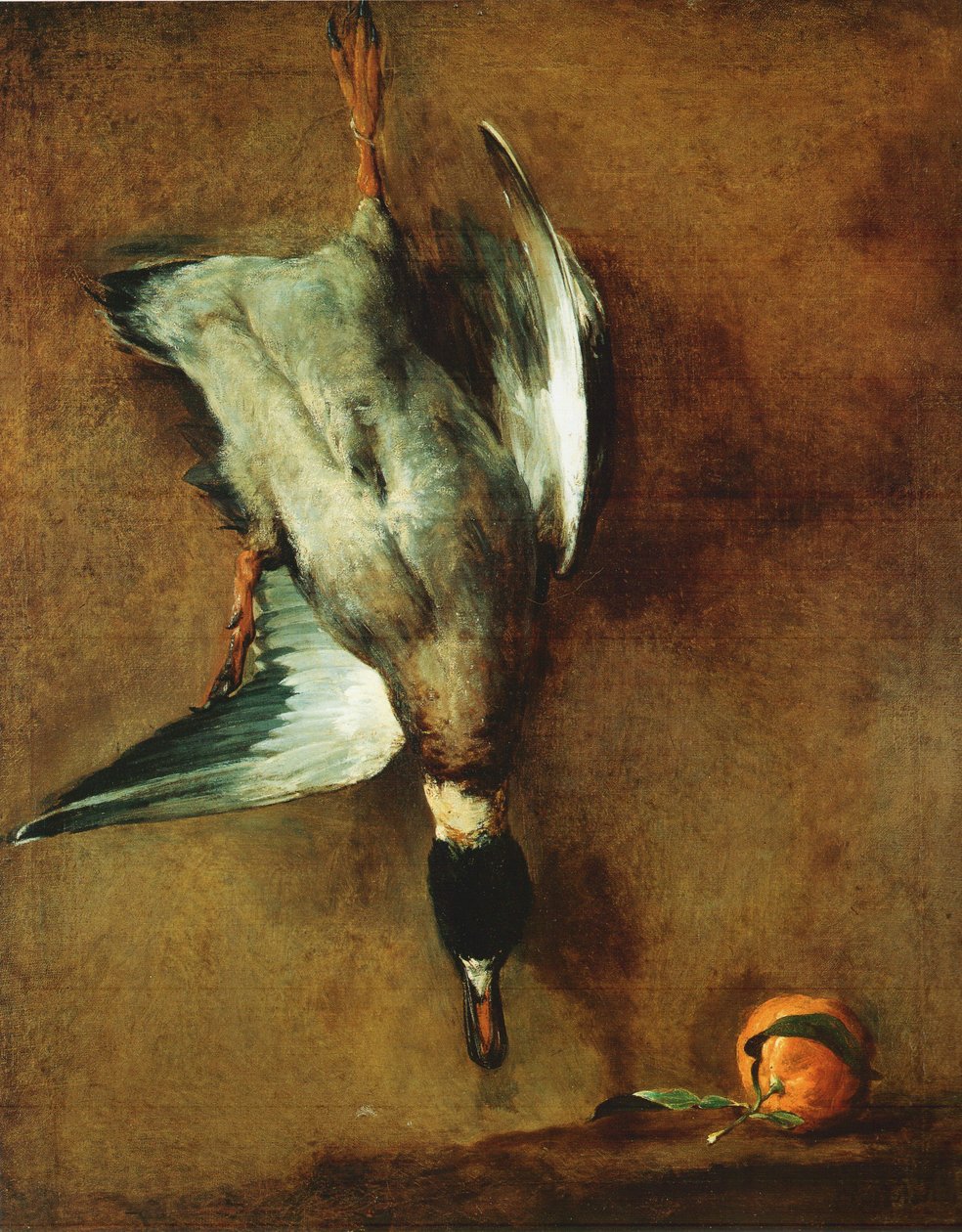 Kachna se zeleným krkem přivázaná ke zdi a periwinkle. od Jean Baptiste Simeon Chardin