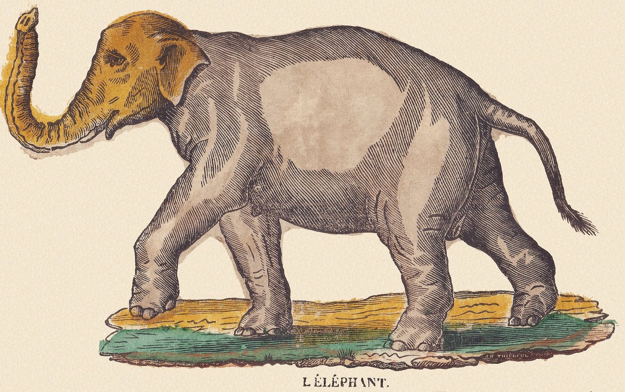Slon, asi 1840-1852 (litografie) od Jean Baptiste Thiebault