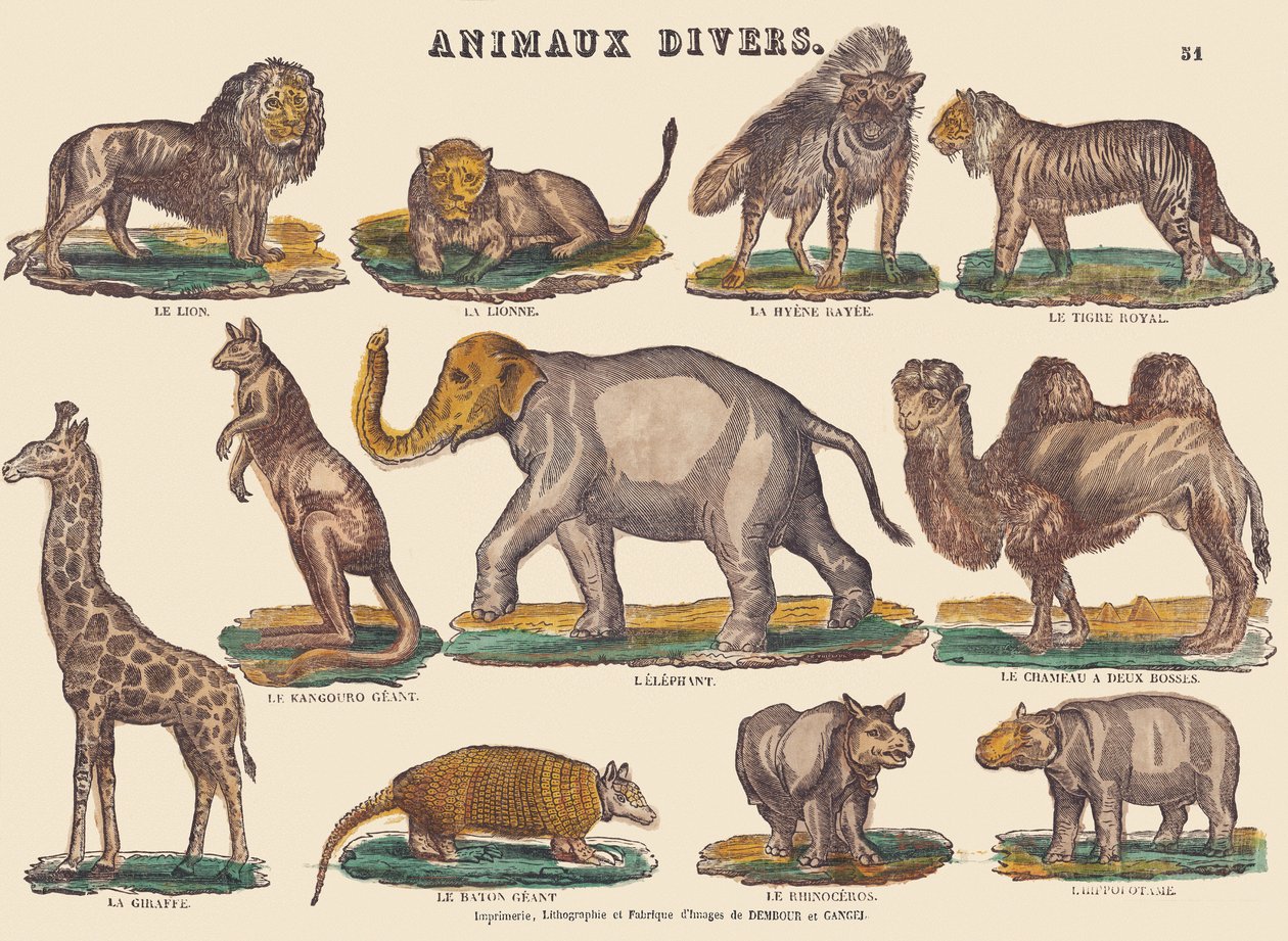 Různá zvířata, asi 1840-1852 (litografie) od Jean Baptiste Thiebault