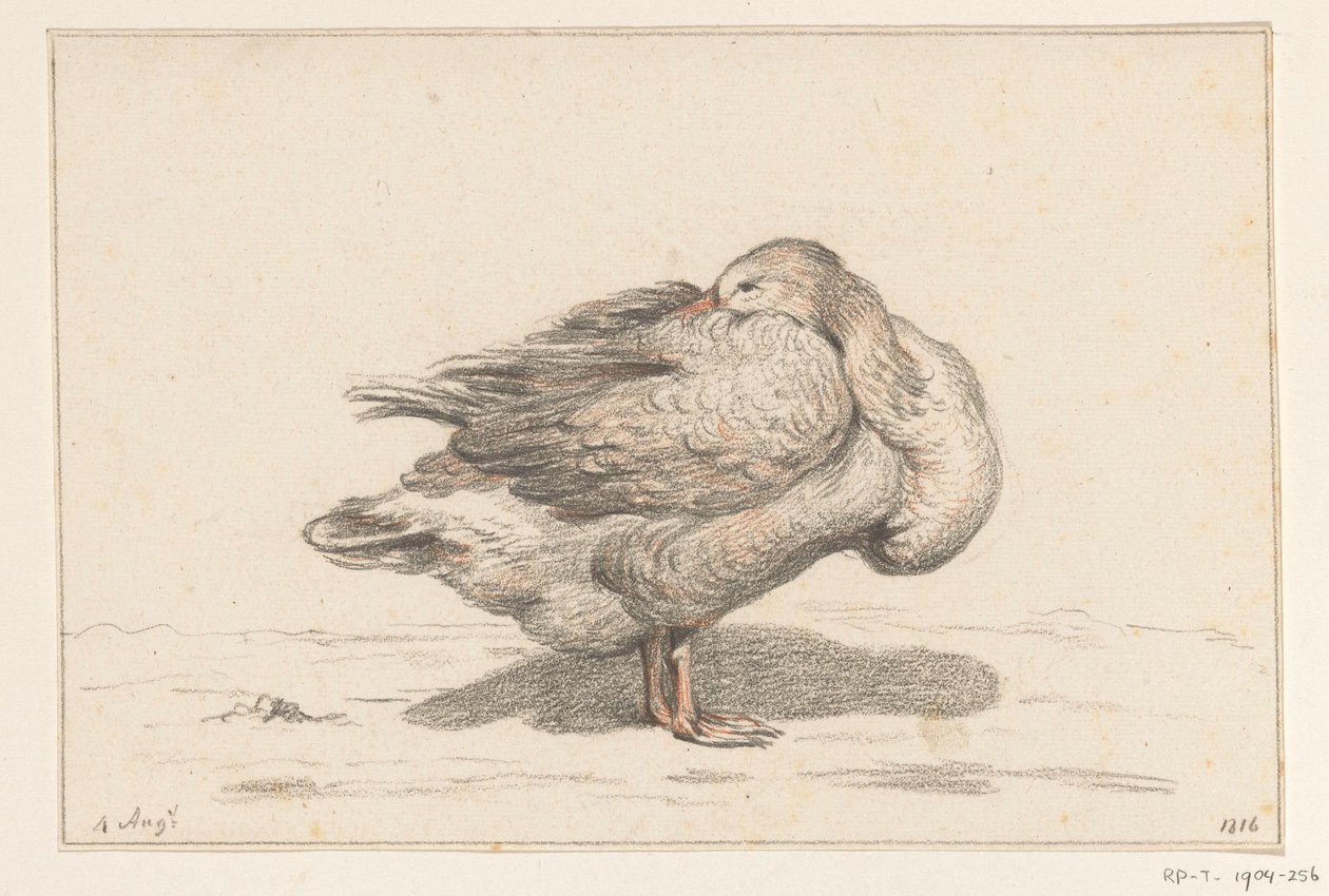 Gans od Jean Bernard