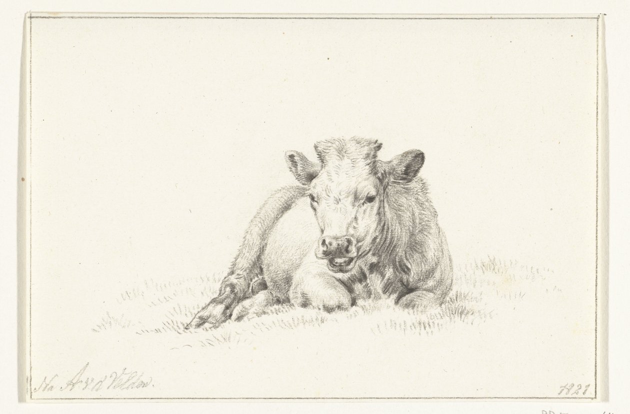 Ležící kráva, zepředu od Jean Bernard