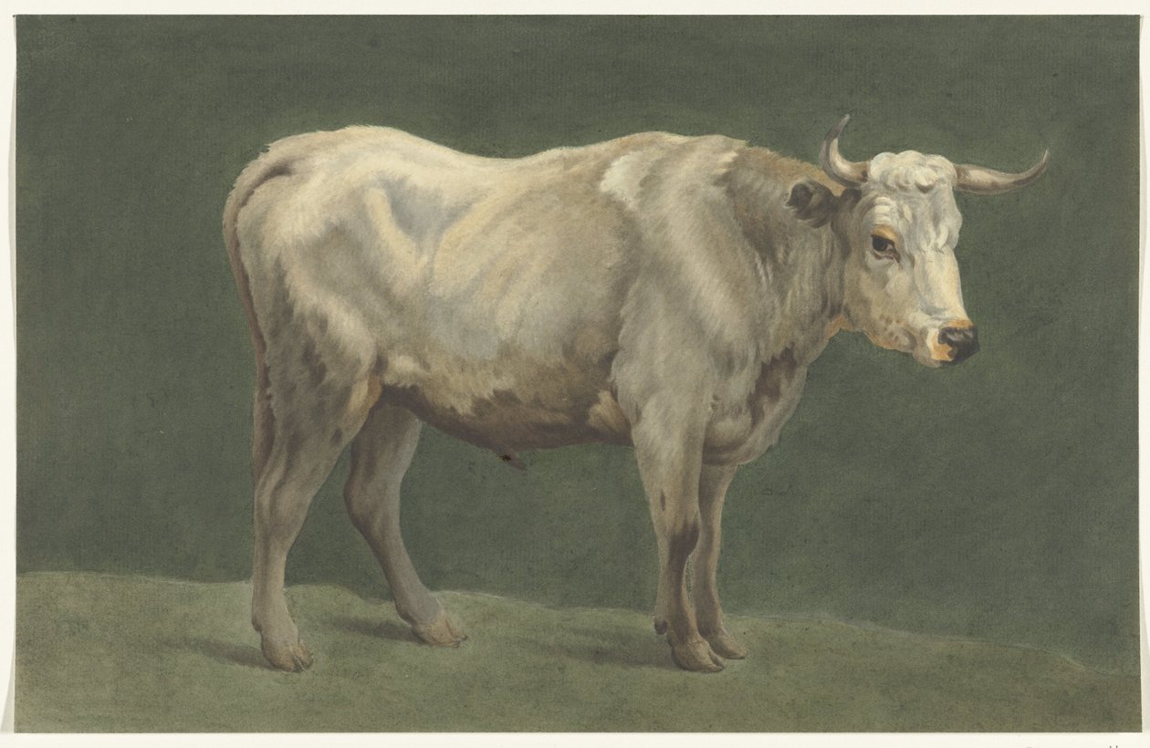 Stojící býk, vpravo od Jean Bernard