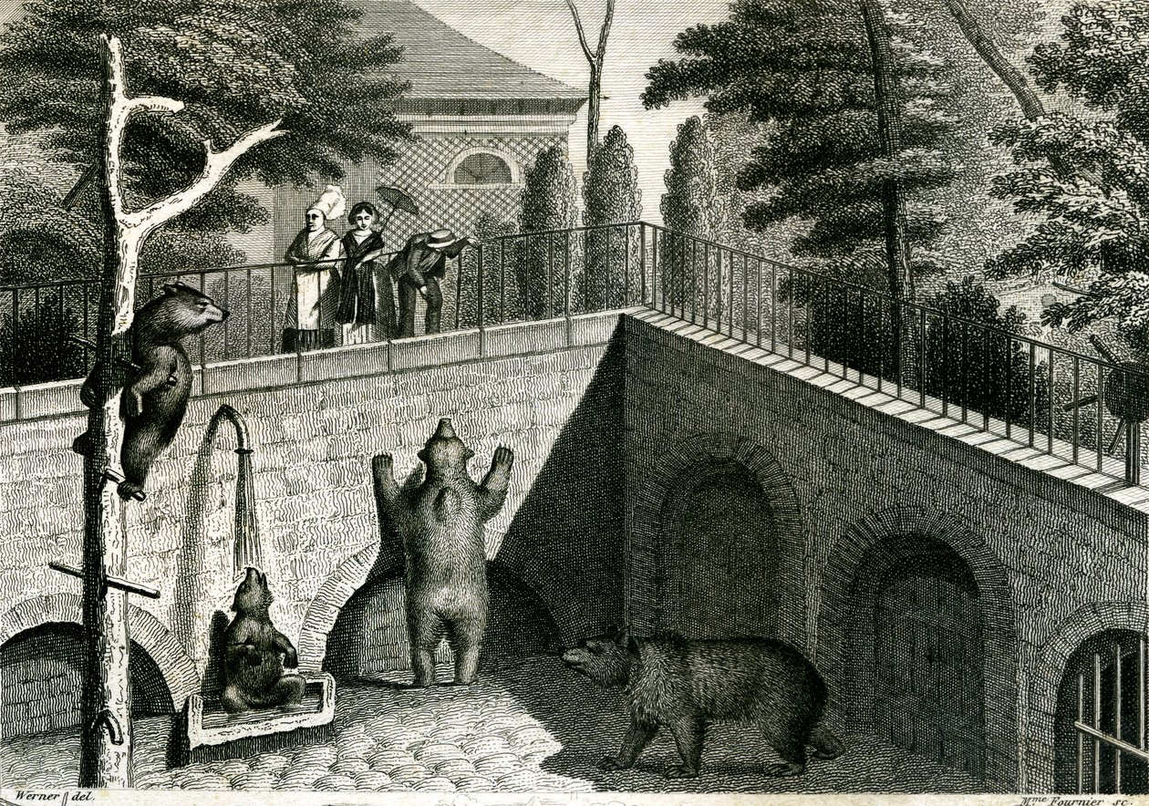 Medvědí brloh v zoo od Jean Charles Werner