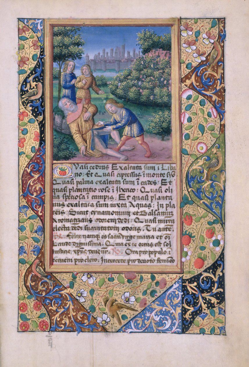 paní Lat. Q.v.I.126 fol.17 The Drunkenness of Noe, from Book of Hours of Louis dOrleans, 1490 od Jean Colombe