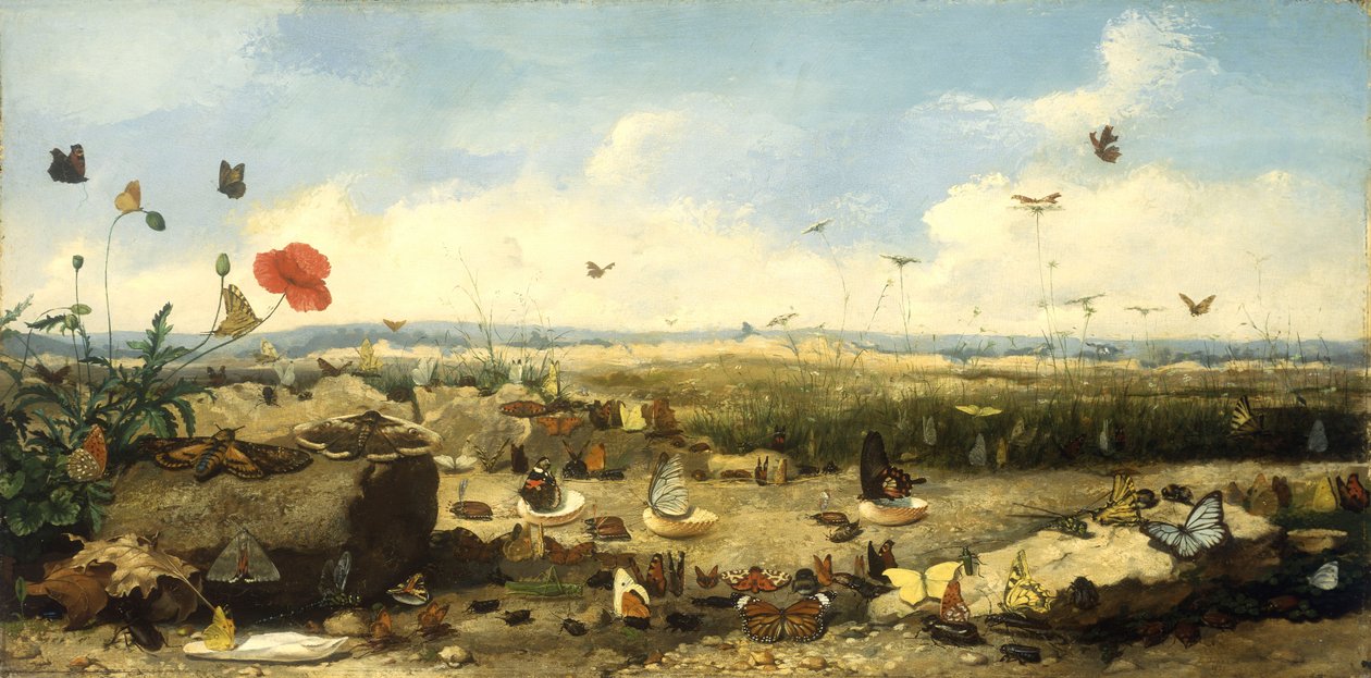 Závod motýlů, 1872 od Jean Eugene Doneaud