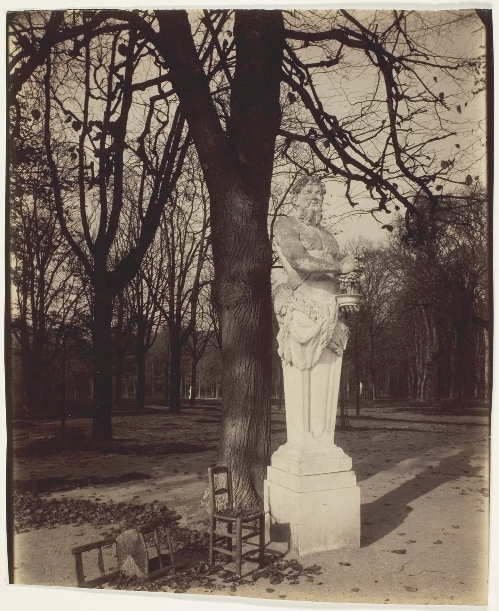 Versailles, roh parku od Jean Eugène Auguste Atget