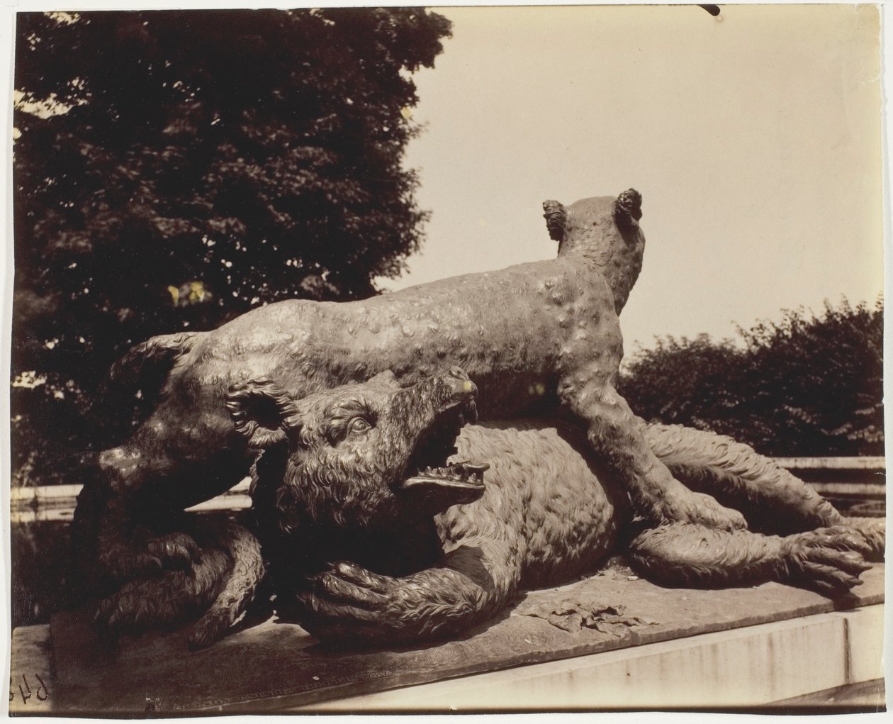 Versailles, Fontaine du Point du Jour, (Tigre Terrassant un Ours by Houzeau) od Jean Eugène Auguste Atget