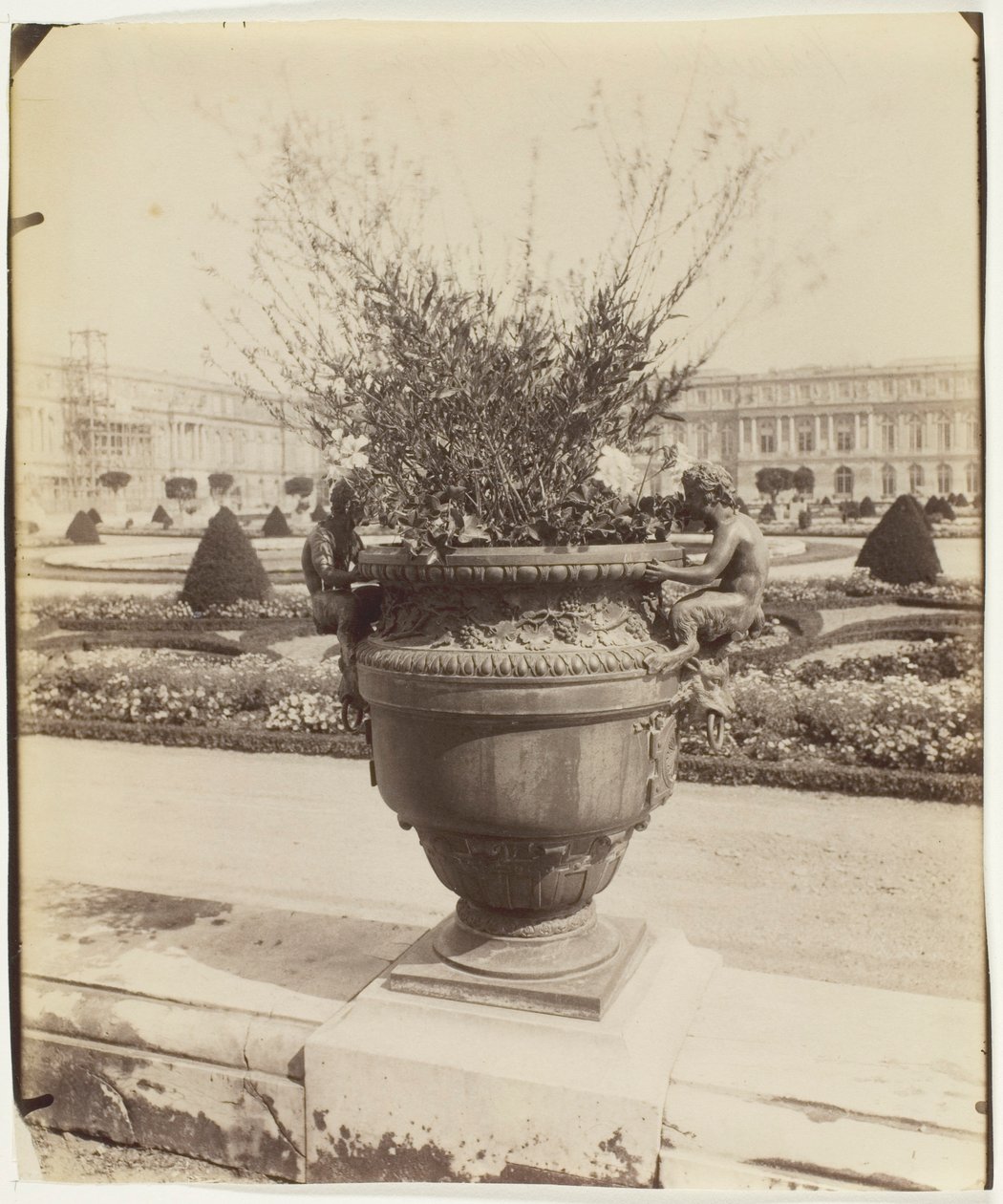 Versailles, váza od Ballin od Jean Eugène Auguste Atget