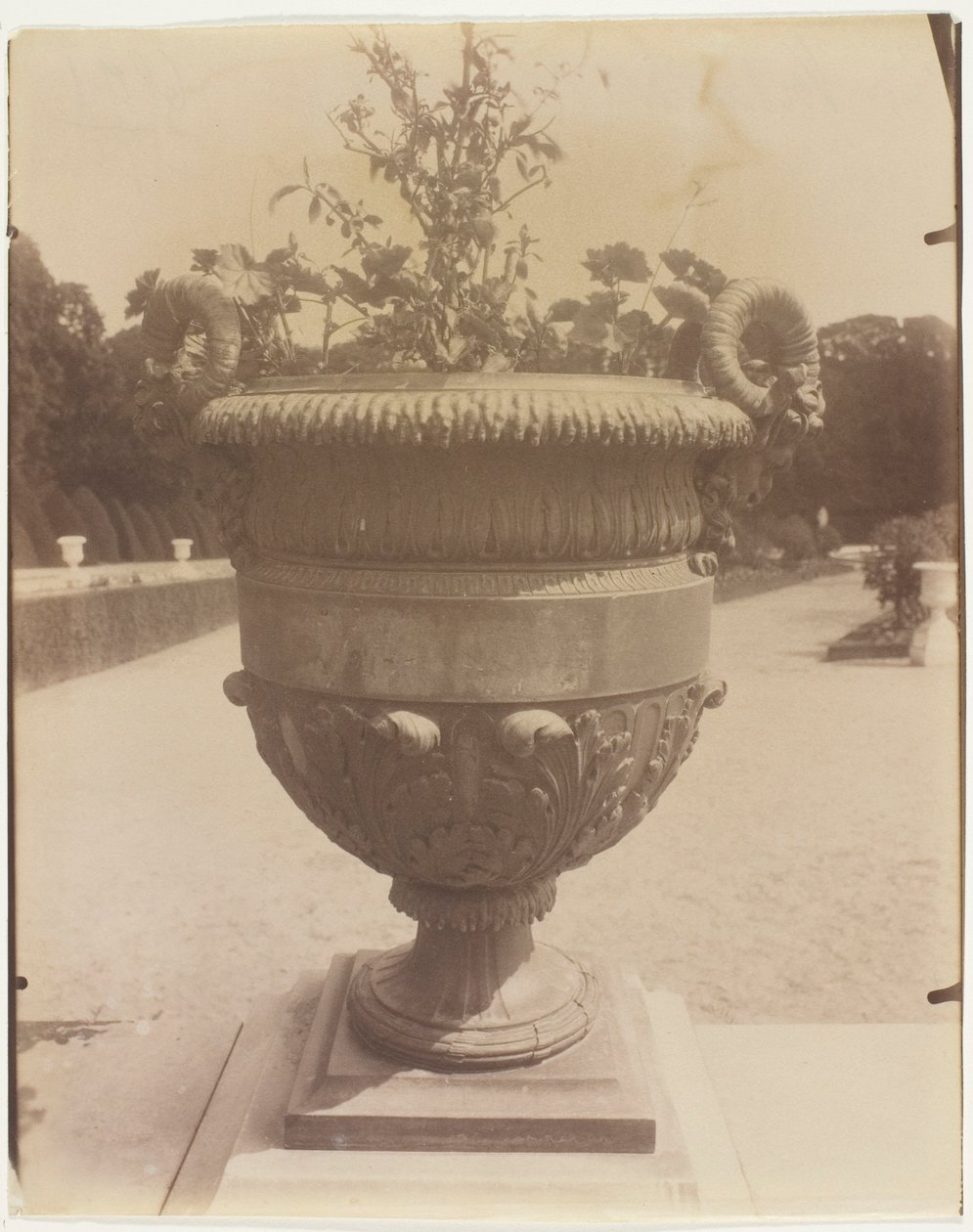 Versailles, váza od Ballin od Jean Eugène Auguste Atget