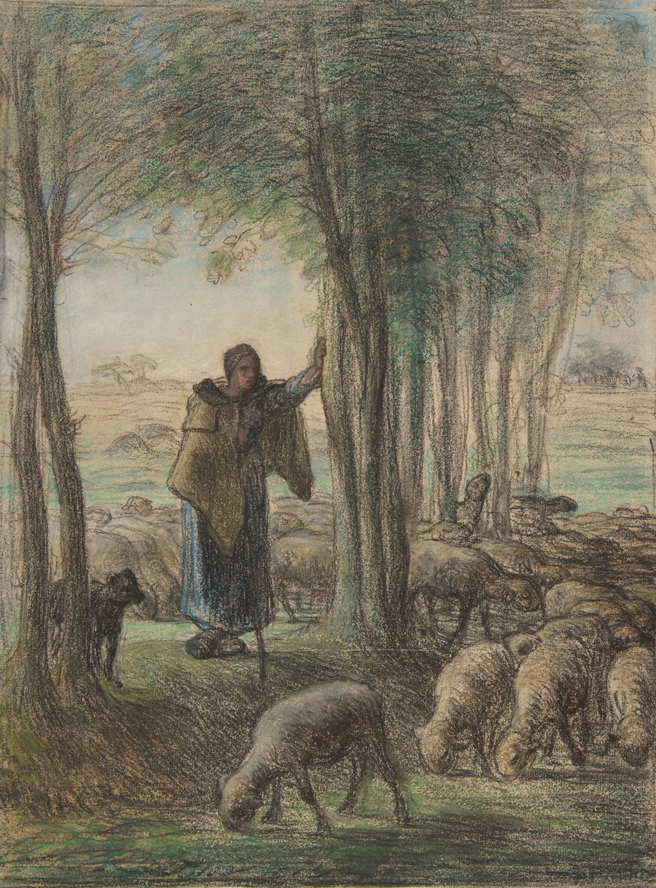 Pastýřka a její stádo ve stínu stromů, 1854-55 (pastel a pastel na položený papír) od Jean Francois Millet