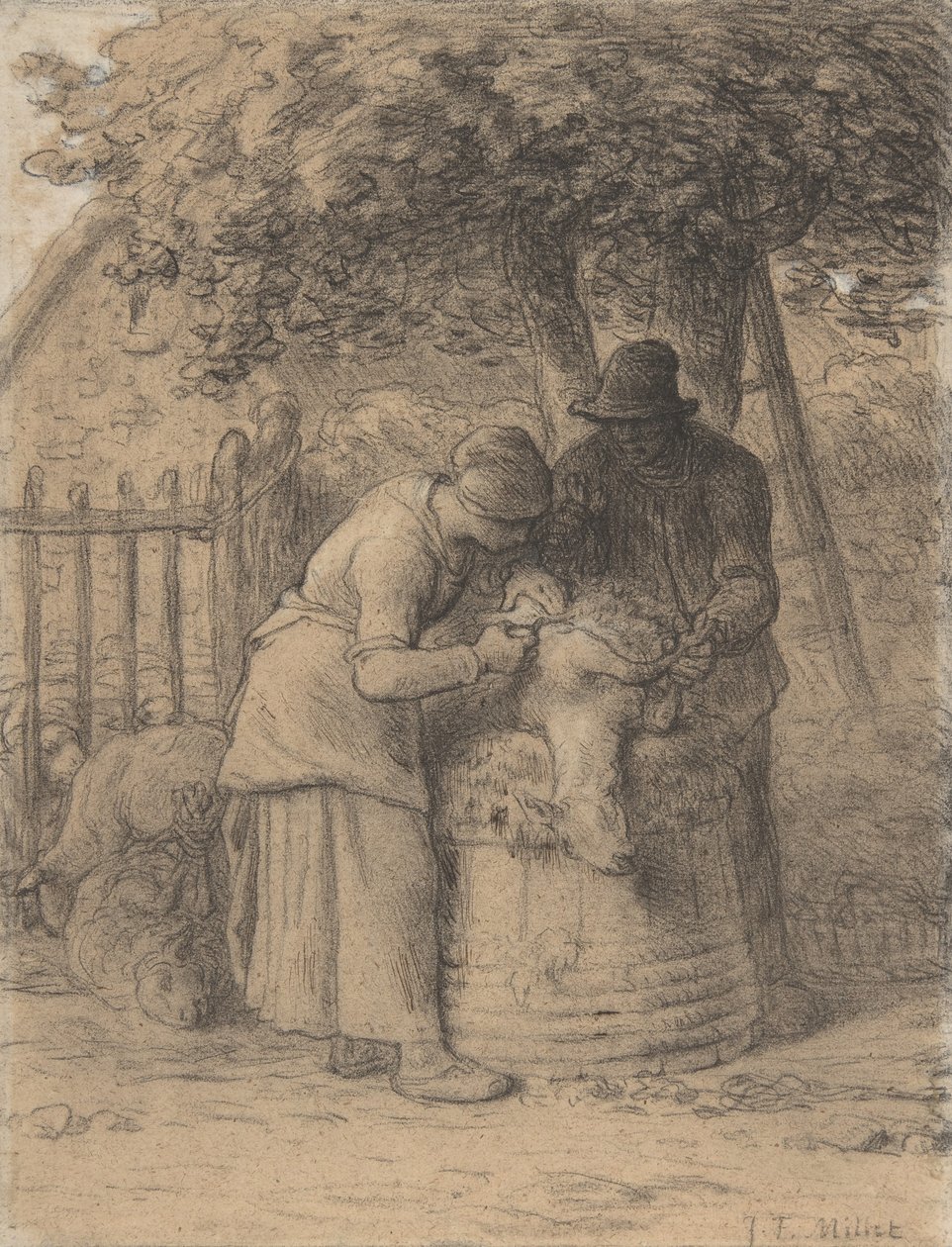 Sheepshearing Beneath a Tree, c.1854 (conté pastel s perem a hnědým inkoustem a kvašem na papíře) od Jean Francois Millet