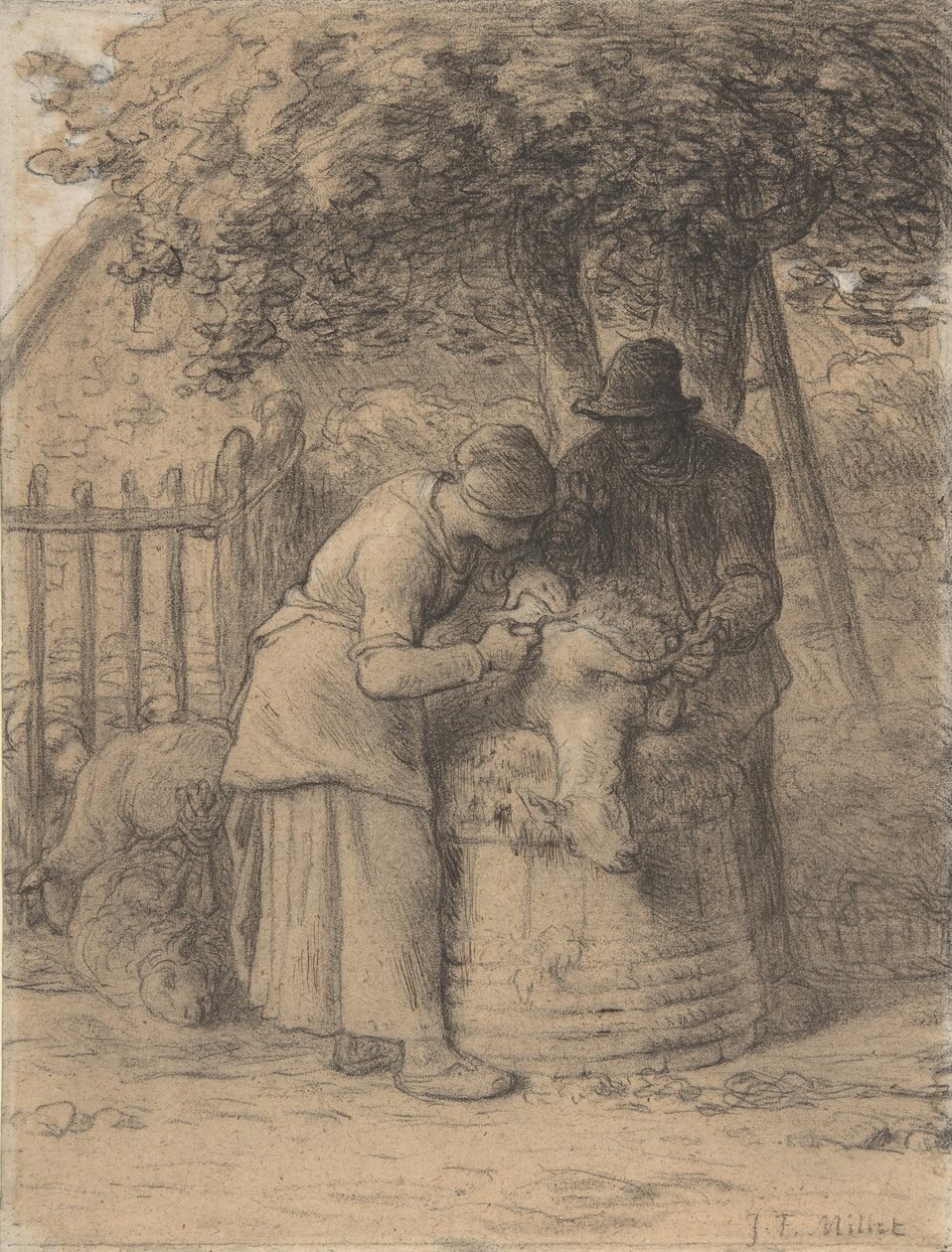 Sheepshearing Under a Tree, ca. 1854. od Jean Francois Millet