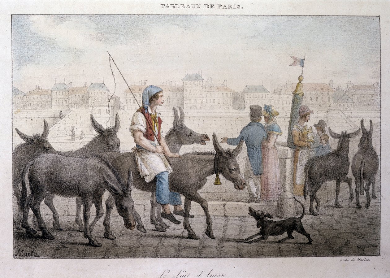 Bývalý pouliční obchod v Paříži: obchodník s oslím mlékem (Ane dans Paris) - rytina Jeana Henryho Marleta (1771-1847) v „“Les Tableaux de Paris“, série 72 tisků, konec 19. století od Jean Henri Marlet
