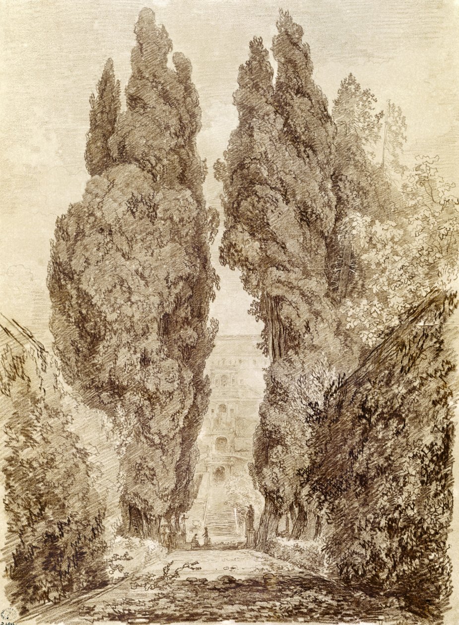 Velké cypřiše ve Villa d