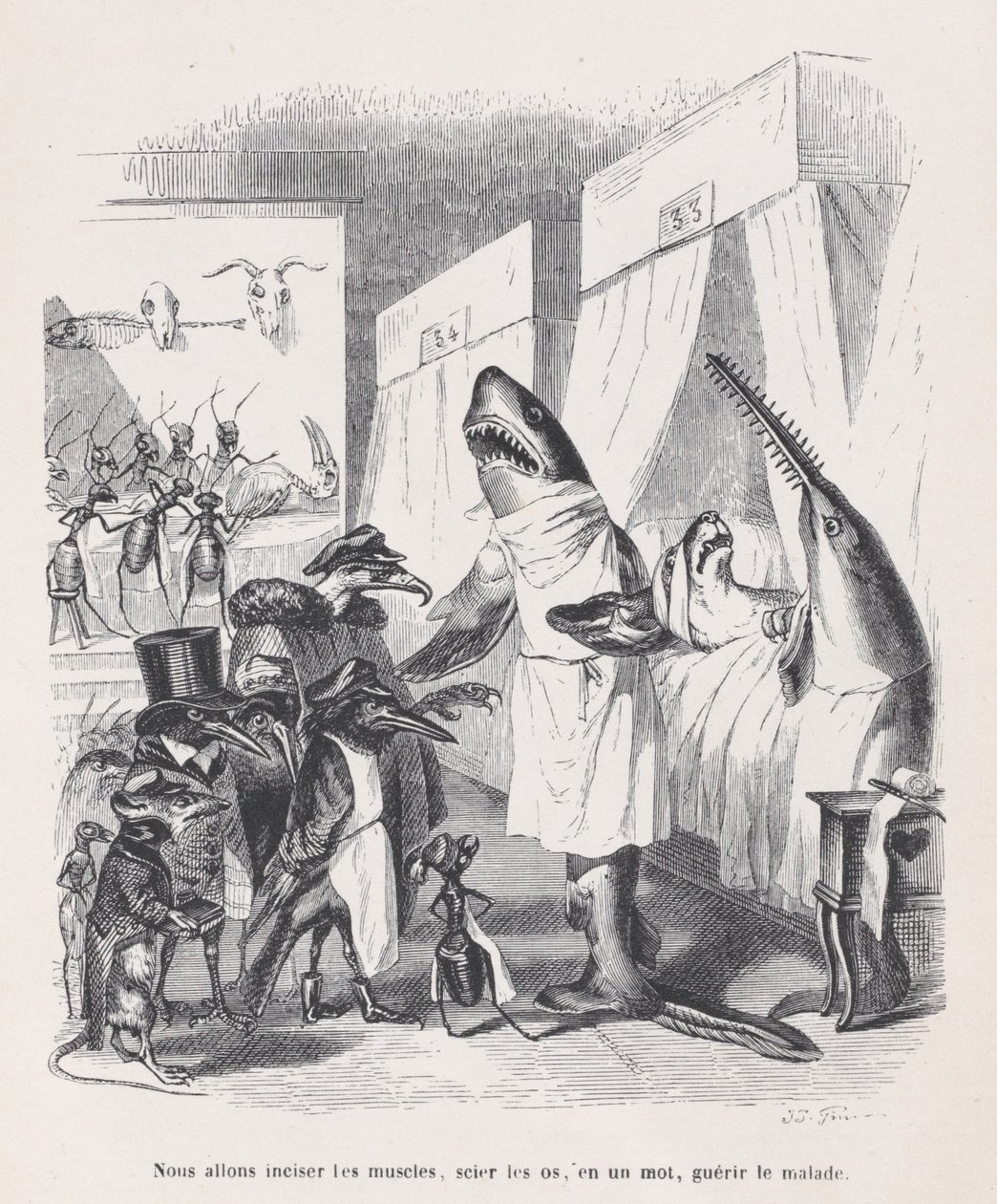 Chystáme se nařezat svaly, řezat kosti, jedním slovem léčit nemocné ze Sc..., ca. 1837-47. od Jean Ignace Isidore Gérard
