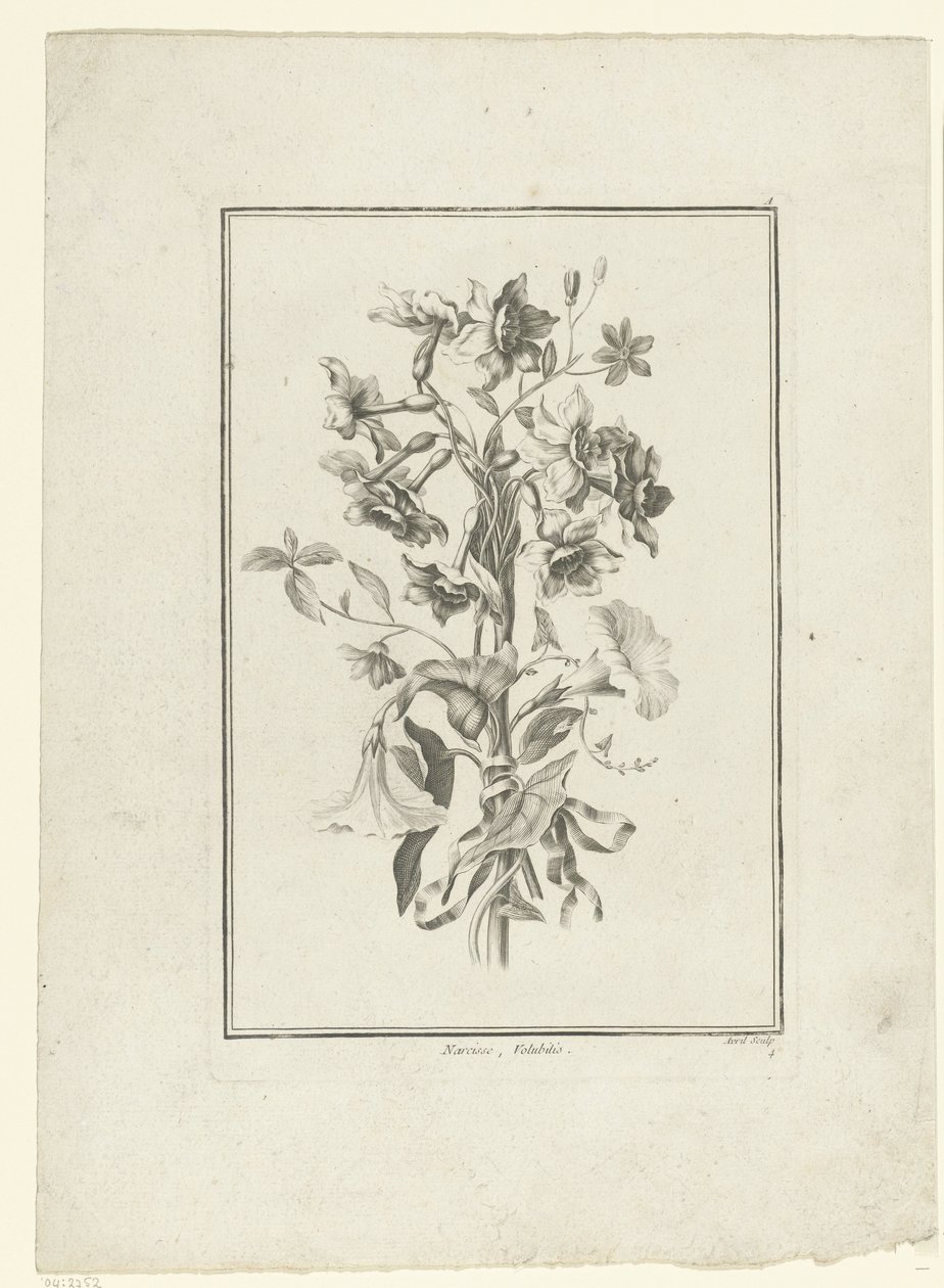 Kytice z narcisu a svlačec Narcissus, Volubilis (název na objektu) IIe Cahier de Bouquets (název série) od Jean Jacques Avril (I)