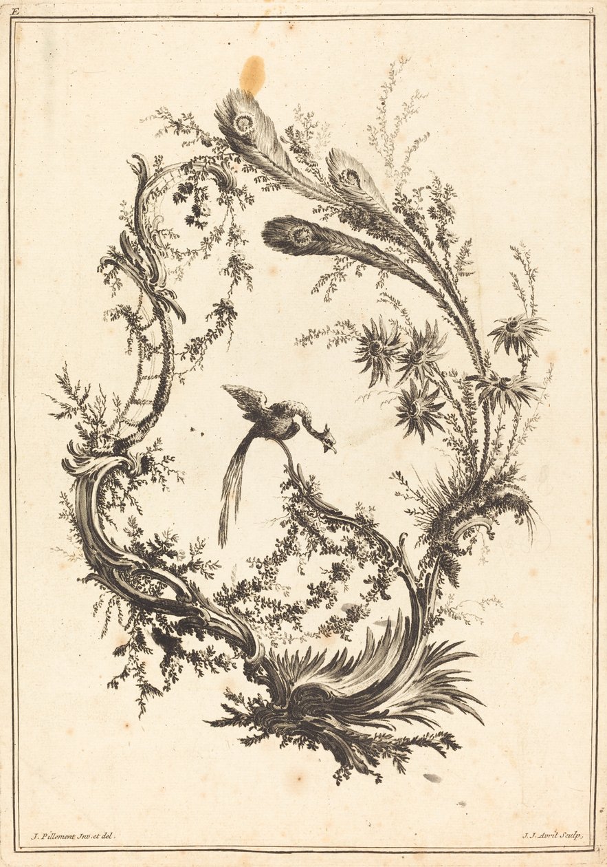 Ornament s pávem od Jean Jacques Avril I after Jean Baptiste Pillement