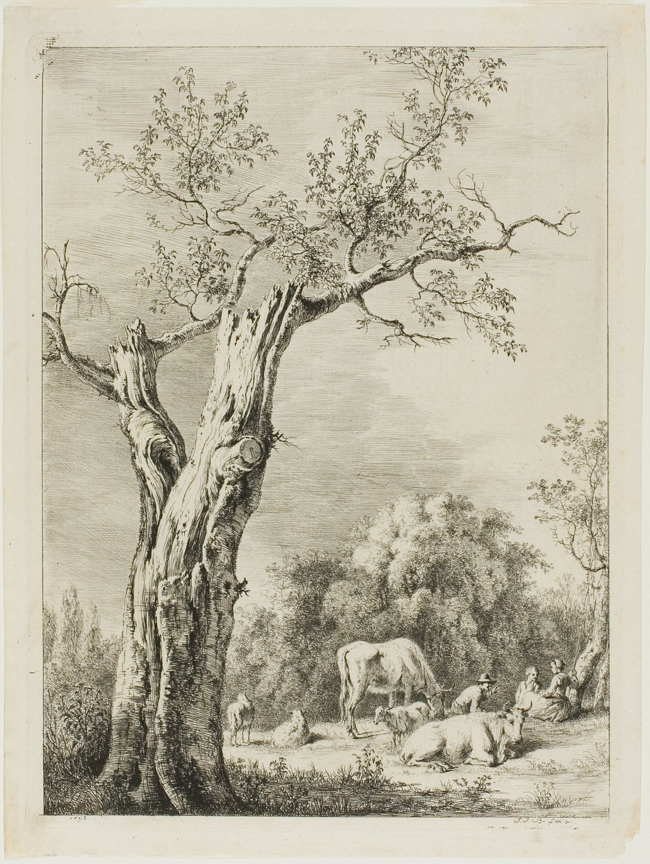 Jaro od Jean Jacques de Boissieu