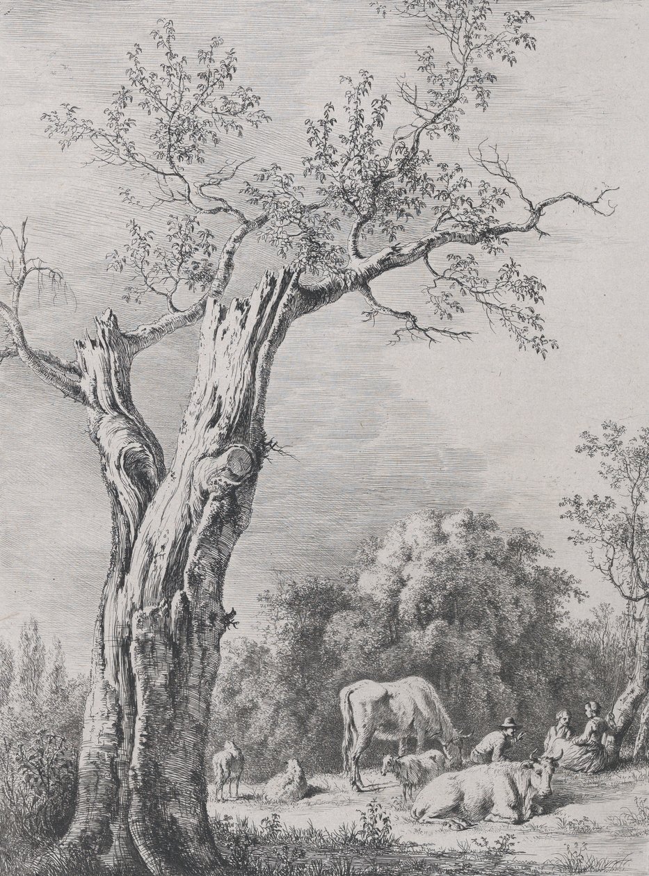Jaro, po kresbě dokončené v Saint-Chamond, 1795. od Jean Jacques de Boissieu