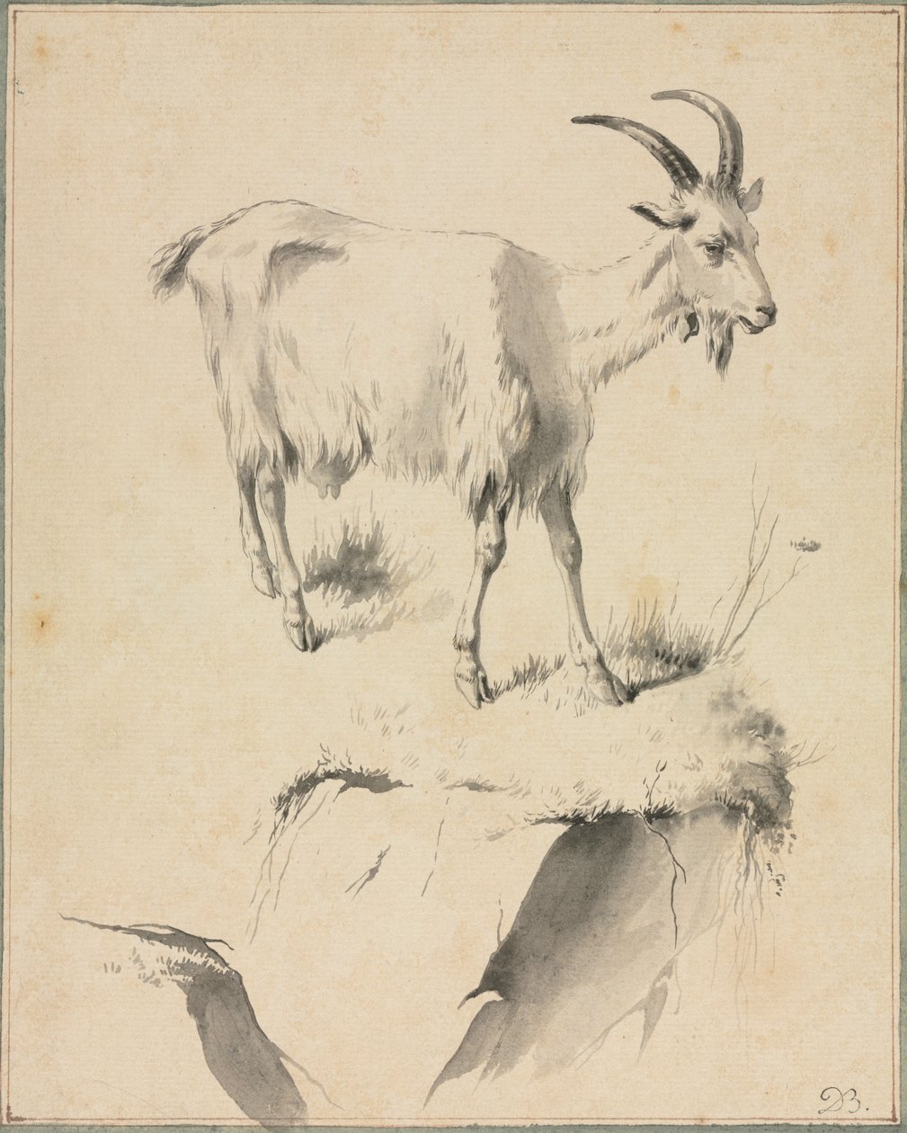 Studie kozy od Jean Jacques de Boissieu