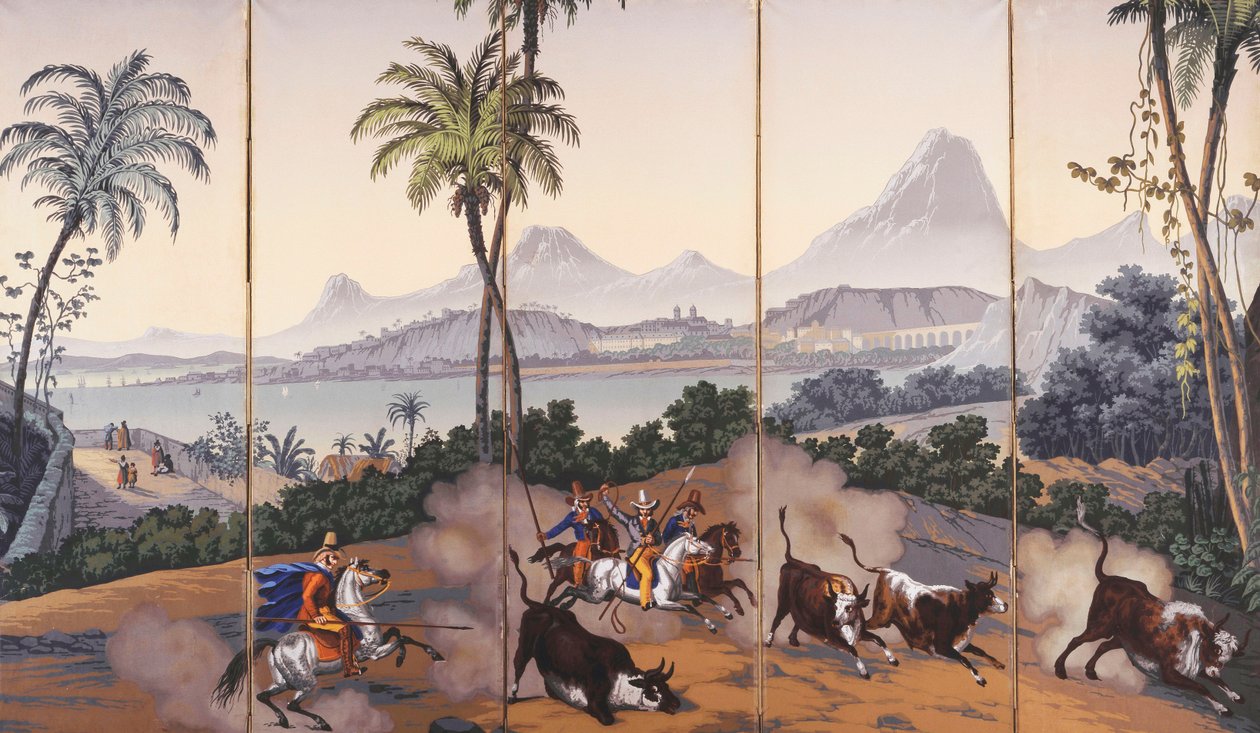 Pohledy na Brazílii, c.1829-35 od Jean Julien Deltil