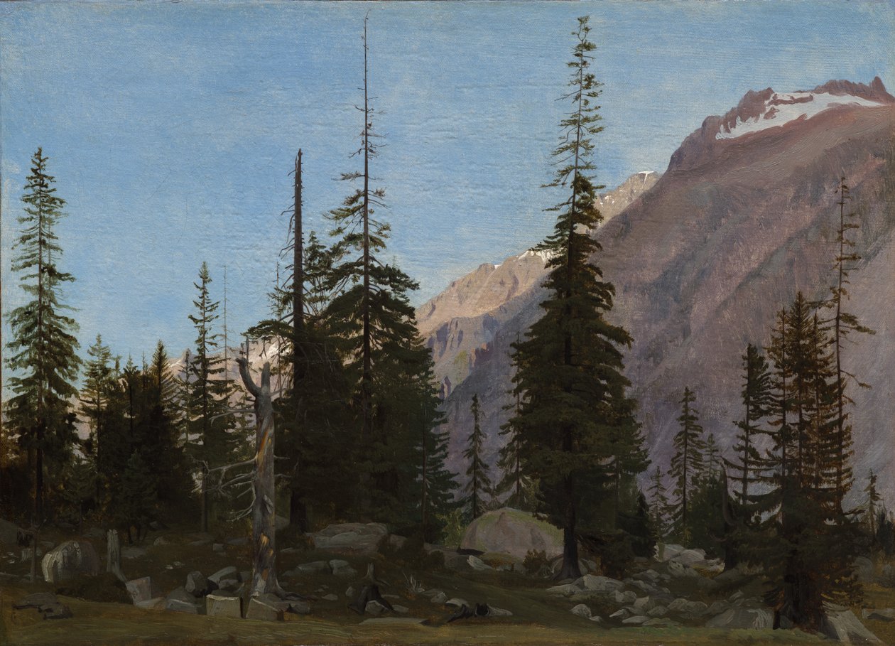 Alpská krajina: Handegg, Švýcarsko od Jean Leon Gerome