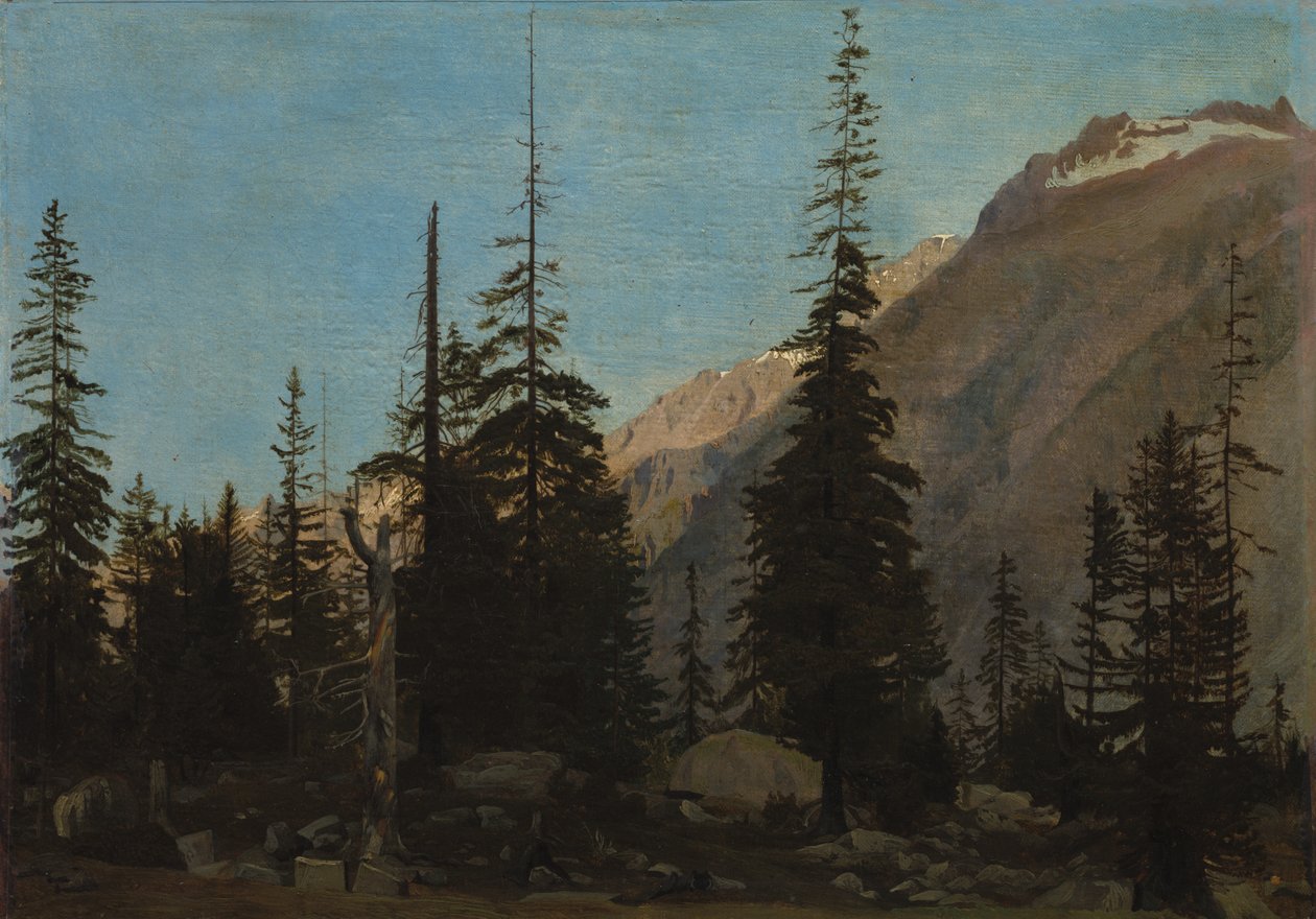 Alpská krajina: The Handegg, Švýcarsko, 50. léta 19. století. od Jean Leon Gerome