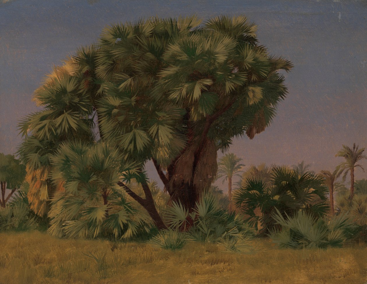 Studie o palmách, pravděpodobně 1868. od Jean Leon Gerome