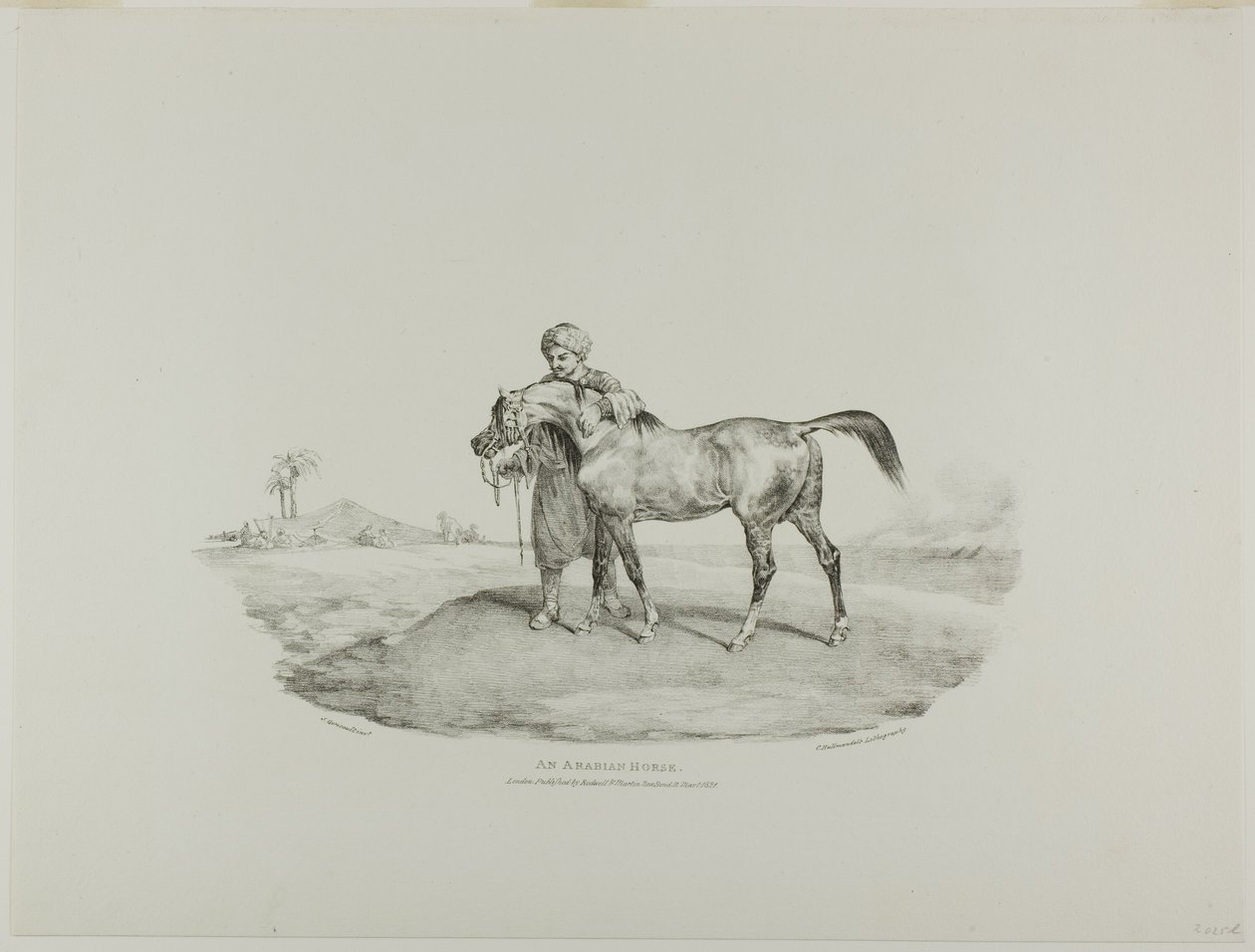 Arabský kůň, deska 8 z knihy Různé náměty kreslené ze života a na kameni (The English Suite) od Jean Louis André Théodore Géricault