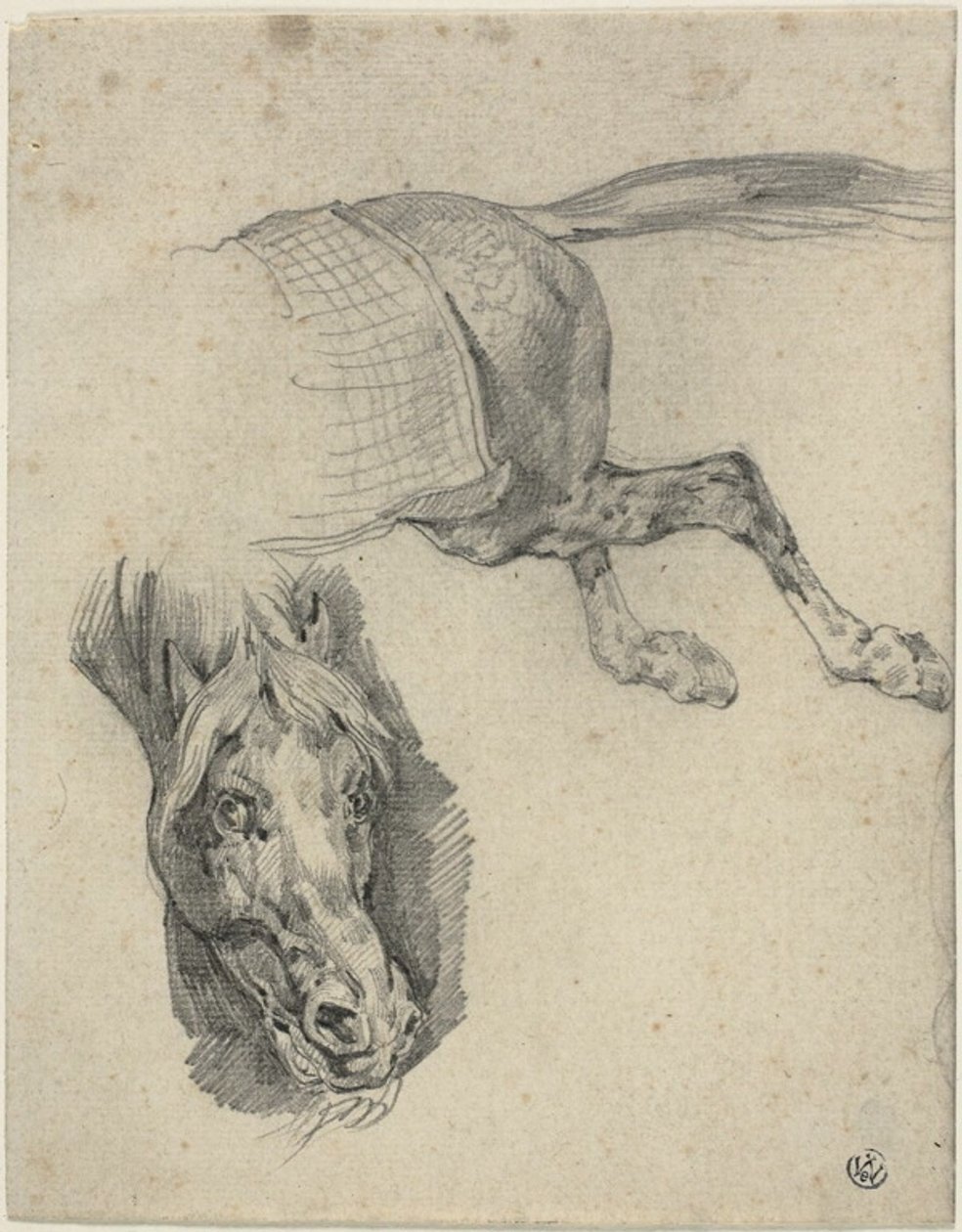 Hlava a zadní část dostihového koně od Jean Louis André Théodore Géricault