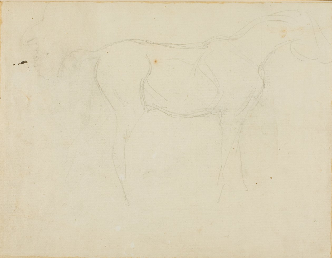 Náčrtek koně tváří vpravo a karikatura z profilu od Jean Louis André Théodore Géricault
