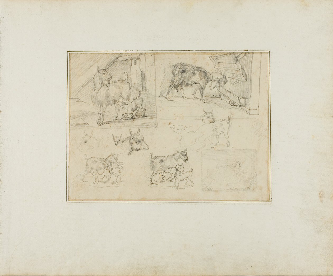 Náčrtky koz od Jean Louis André Théodore Géricault