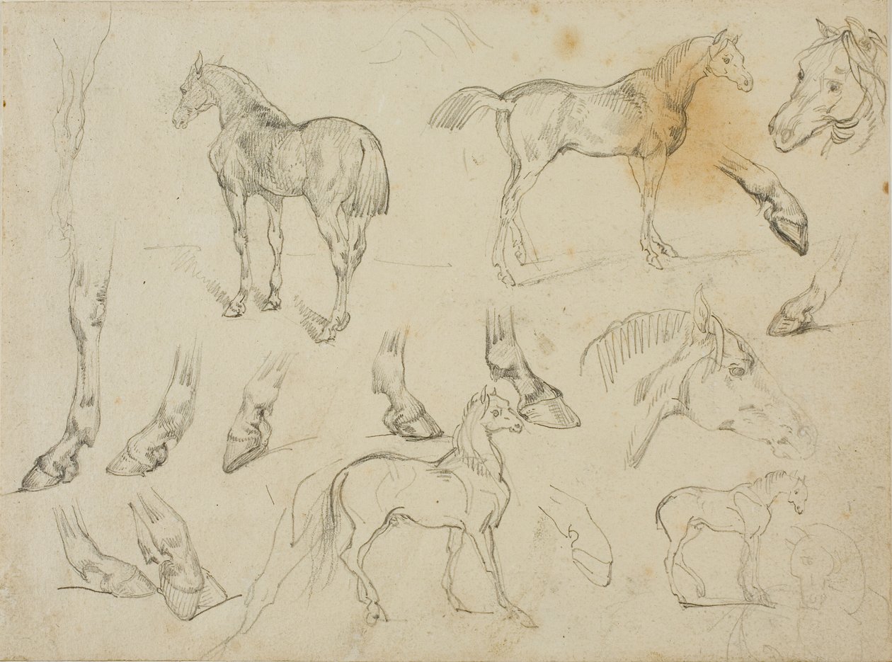 Náčrtky koně od Jean Louis André Théodore Géricault