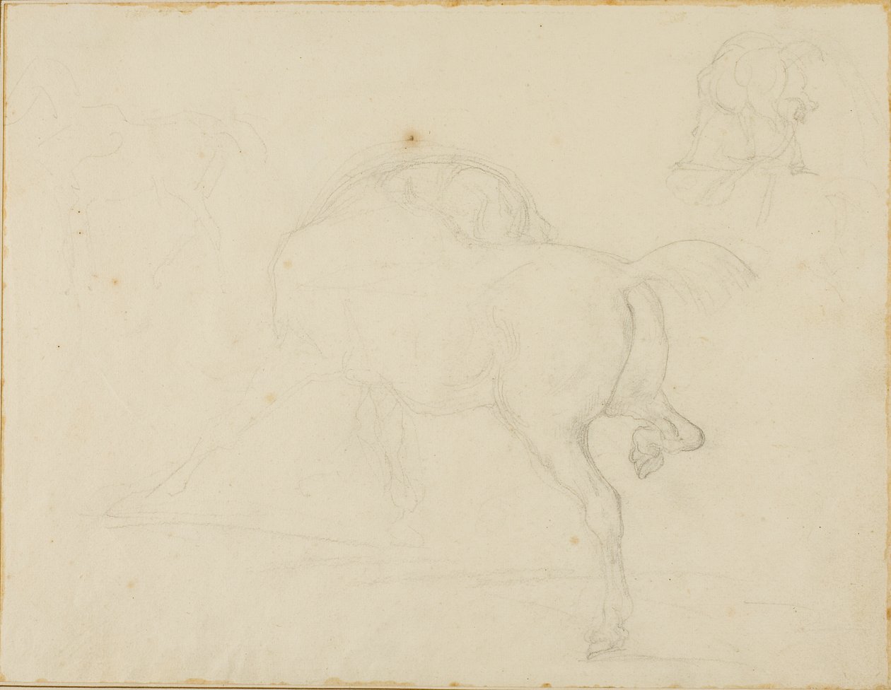 Studie koně otáčejícího hlavou a zvedajícího zadní nohu od Jean Louis André Théodore Géricault