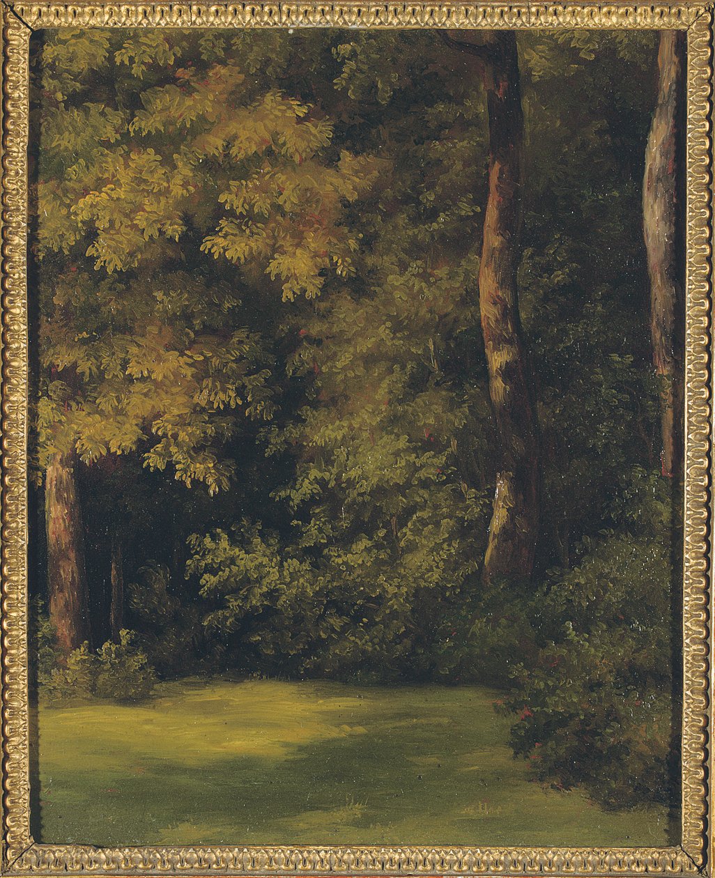 Lesní mýtina, 1840 od Jean Michel Cels