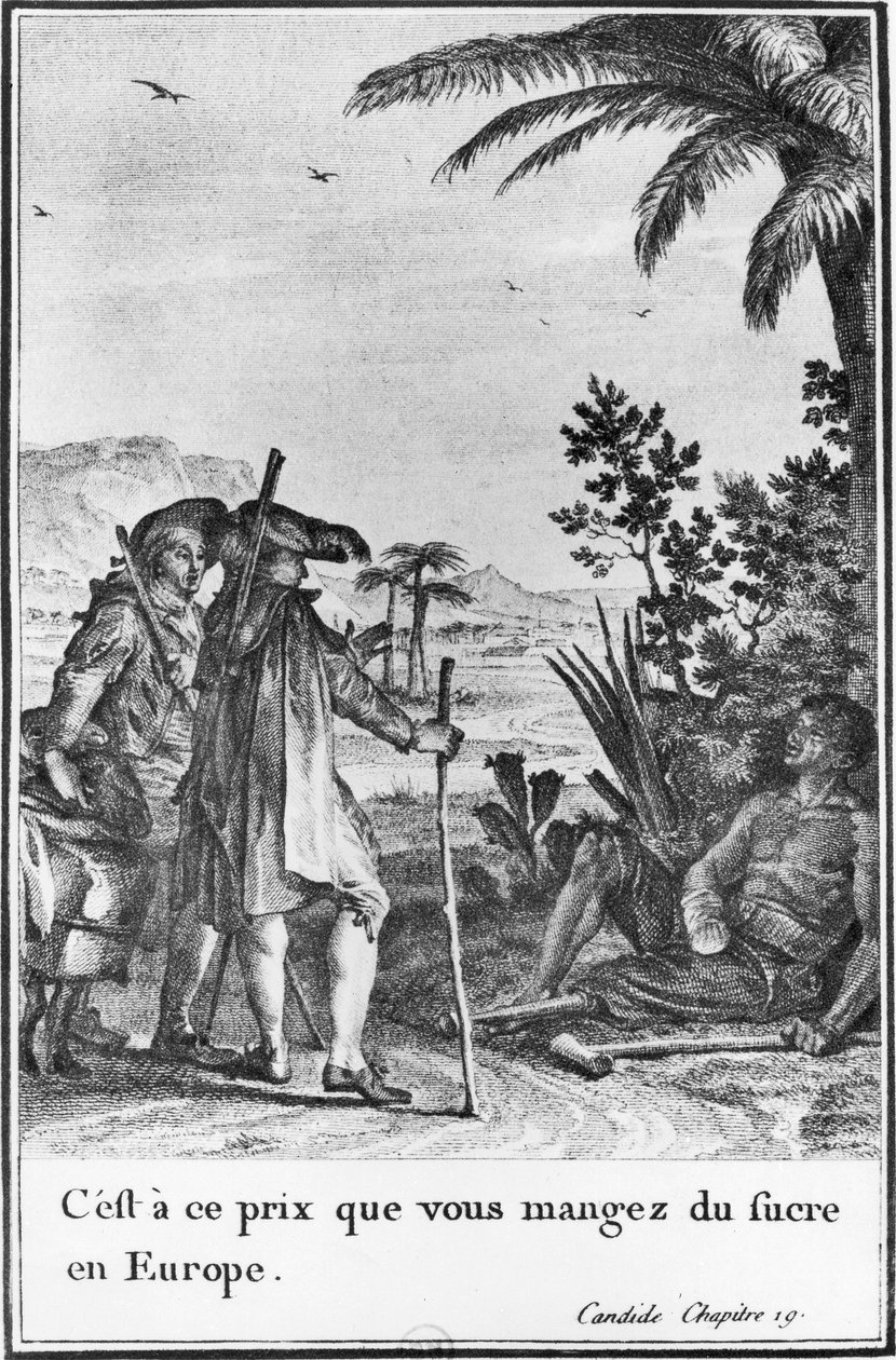 „Za tuto cenu jíte cukr v Evropě“, ilustrace z 19. kapitoly knihy „Candide“ od Francoise Voltaira (1694-1778) vyrytý Pierrem Charlesem Baquoyem (1759-1829) 1787 (rytina) (č/b foto) od Jean Michel the Younger (after) Moreau