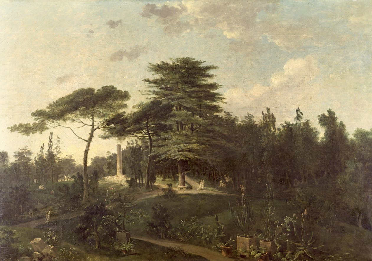 Libanonský cedr v Jardin des Plantes od Jean Pierre Houel