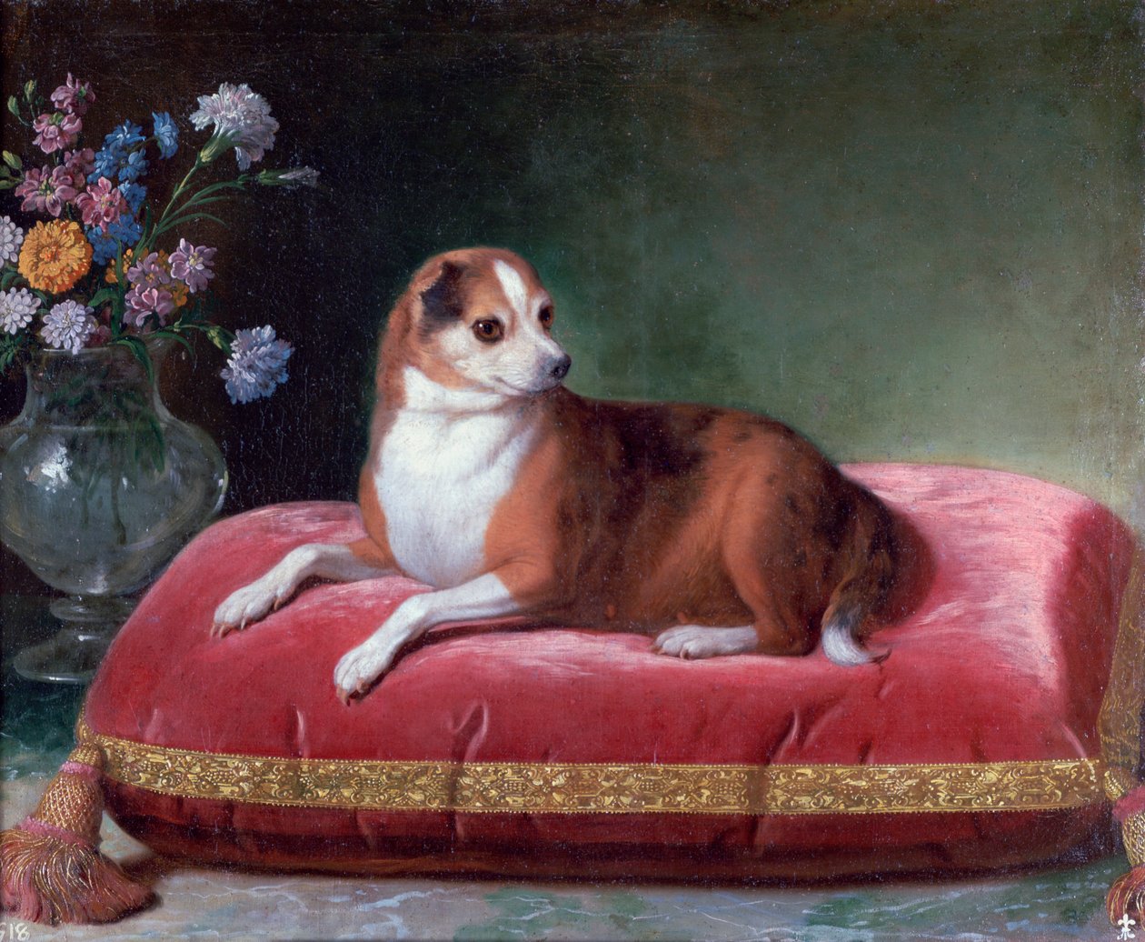Bitch on a Cushion, c1694-1735 od Jean Ranc