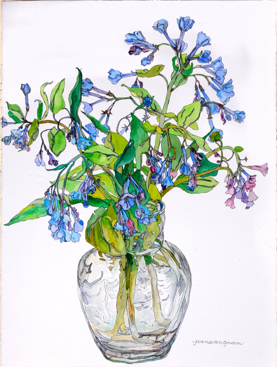 Virginia Blue Bells in Narrow Necked Vase, 2006 (akvarel a tuš na papíře) od Jean Swan Gordon