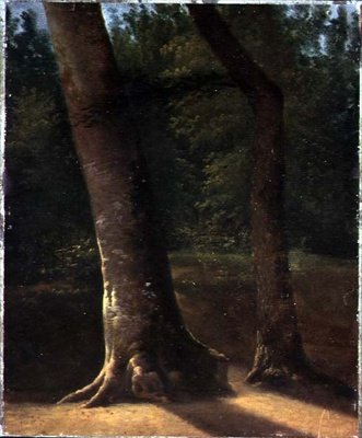 Study of Trees, c.1815 (olej na papíře) od Jean Victor (attr. to) Bertin