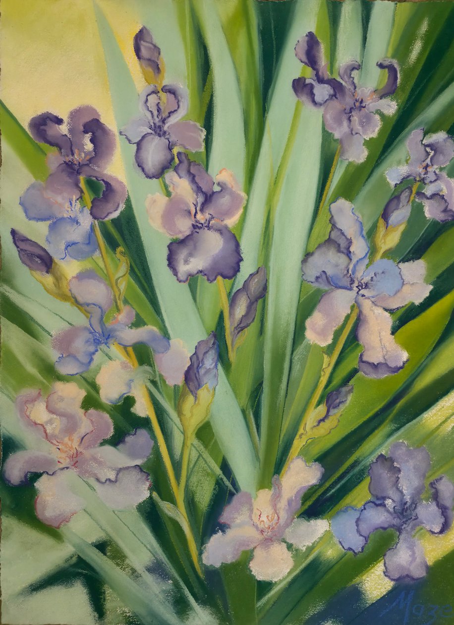 Kosatce na okraji, 2023 (pastel na papíře) od Jeanne Maze