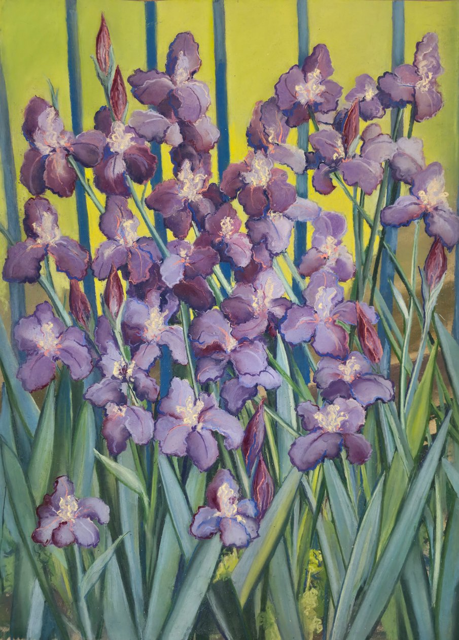 Fialové kosatce, 2023 (pastel na papíře) od Jeanne Maze