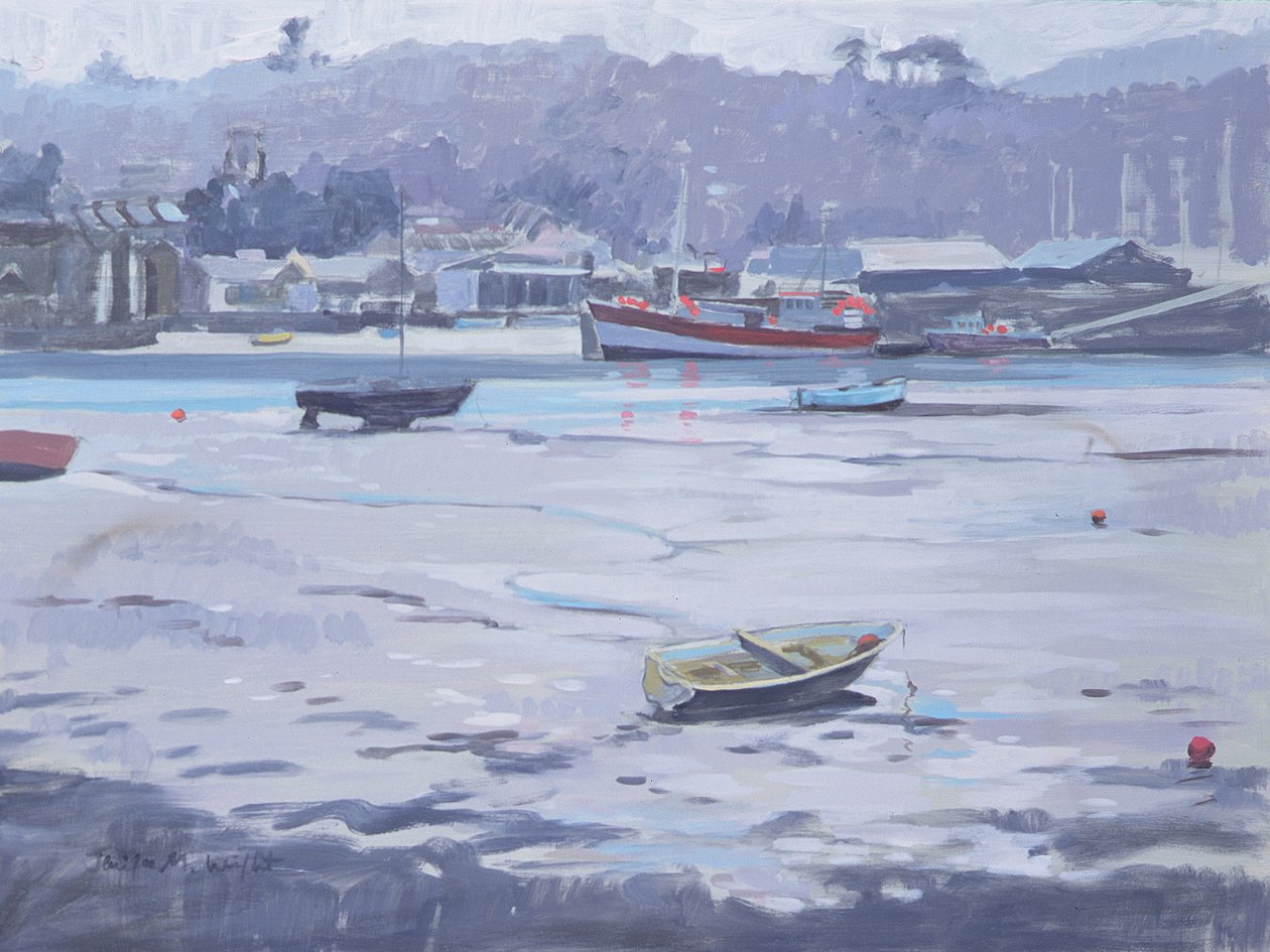 Salcombe - Šedý den - Rybářské nábřeží od Jennifer Wright