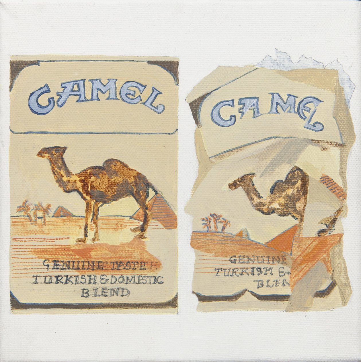 Balení cigaret Camel od Jennifer Abbott