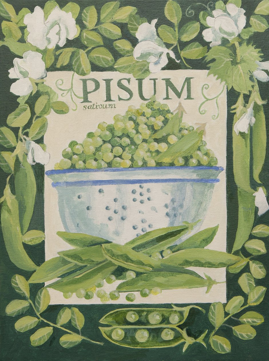 Pisum, Hrách (akryl) od Jennifer Abbott